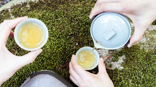 The Buzz About Pre Qing Ming Tea