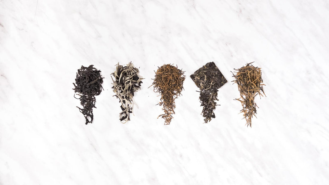 Vol. 3 Exploration with Teakan