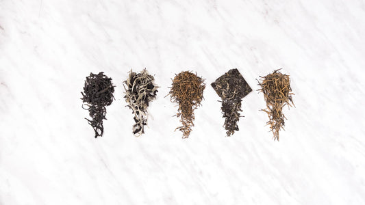 Vol. 3 Exploration with Teakan