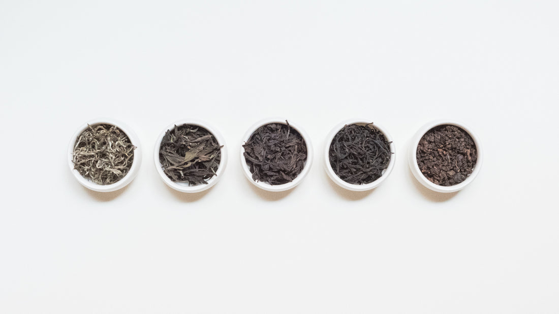 Vol. 7 Exploration with Teakan