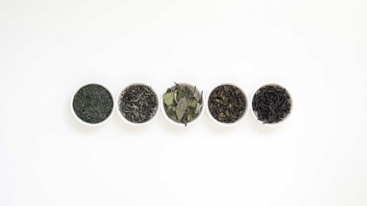 Vol. 6 Exploration with Teakan