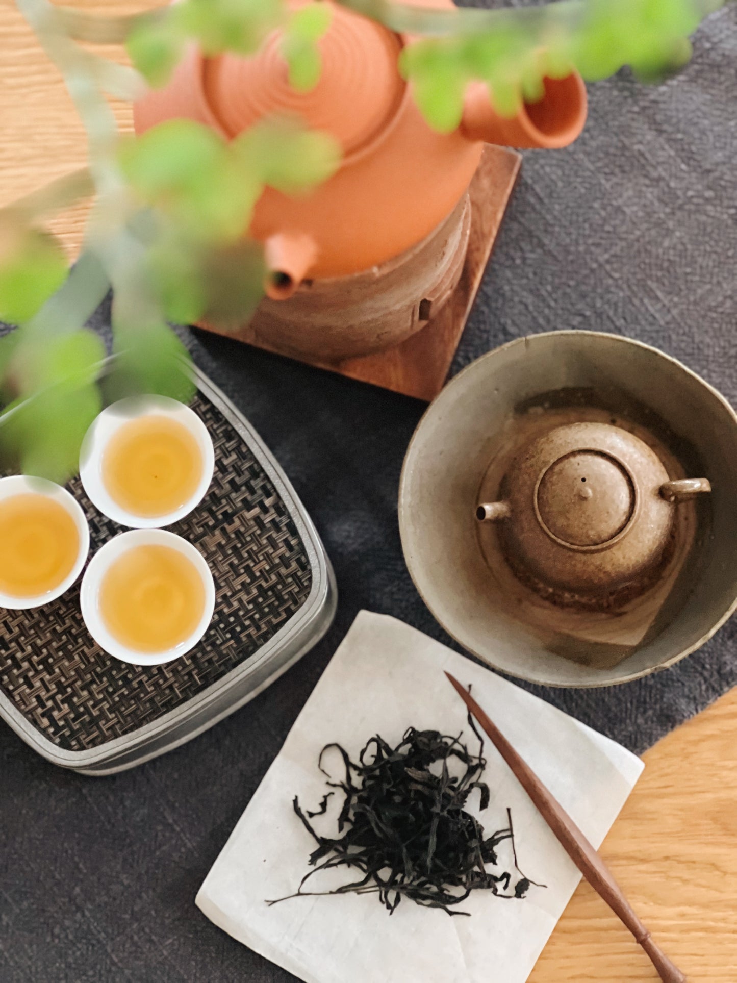 June Tea Classes