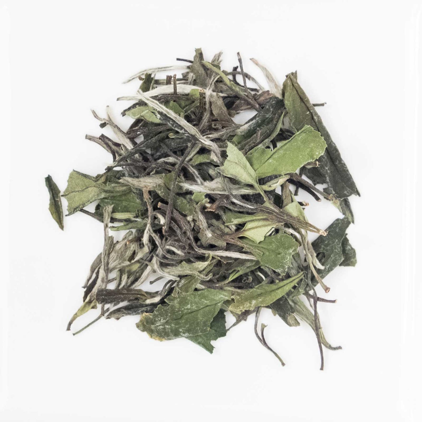 Bai Mu Dan (White Peony)