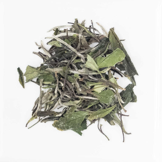 Bai Mu Dan (White Peony)