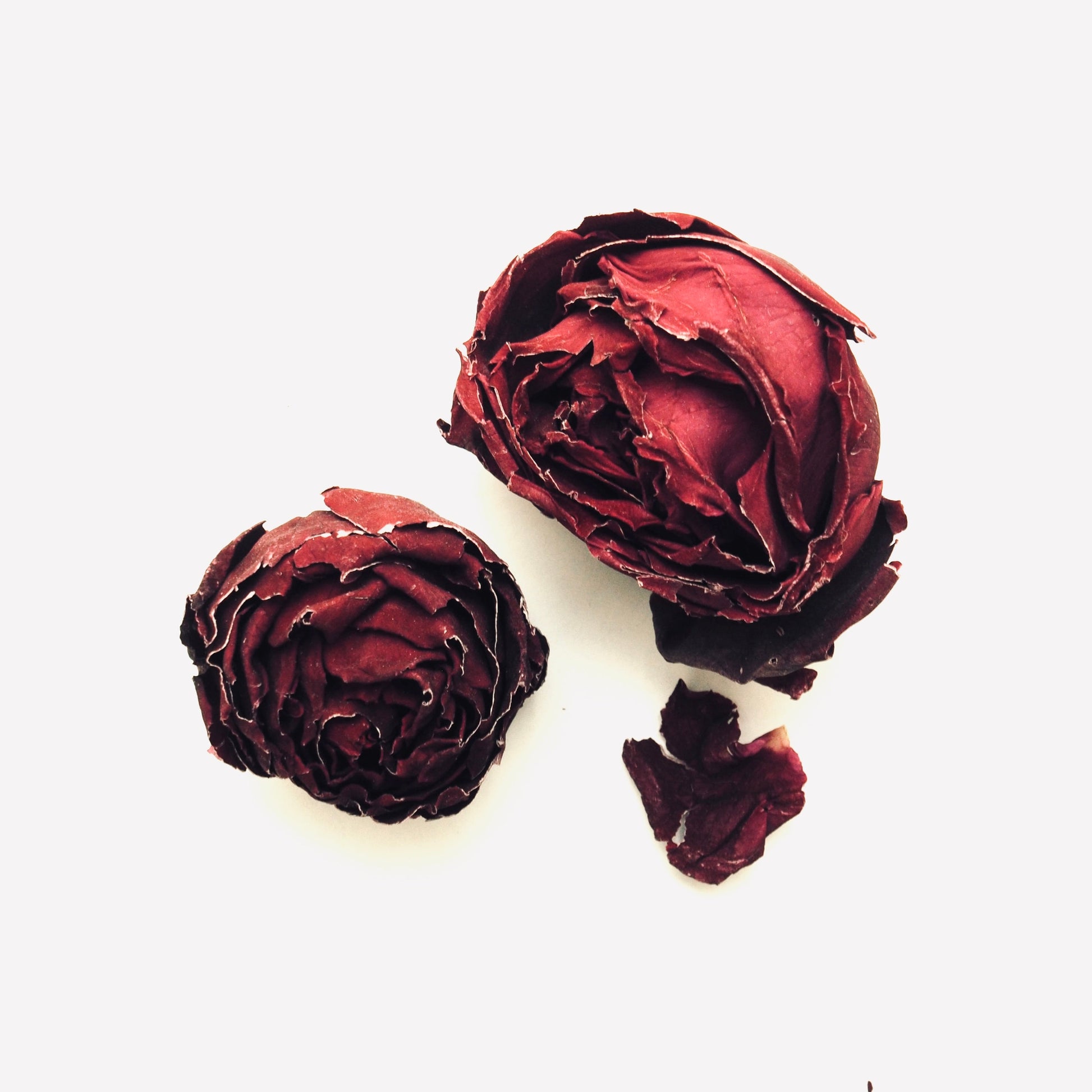 Crimson Rose Tisane Tea